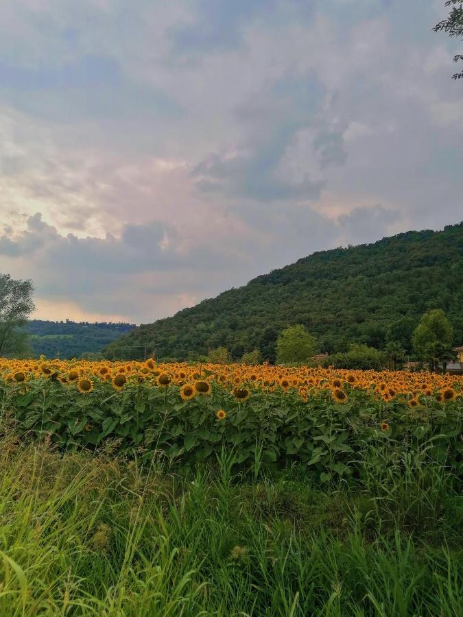 Ca' Dei Berici - Residence Ad Arcugnano Grancare Kültér fotó