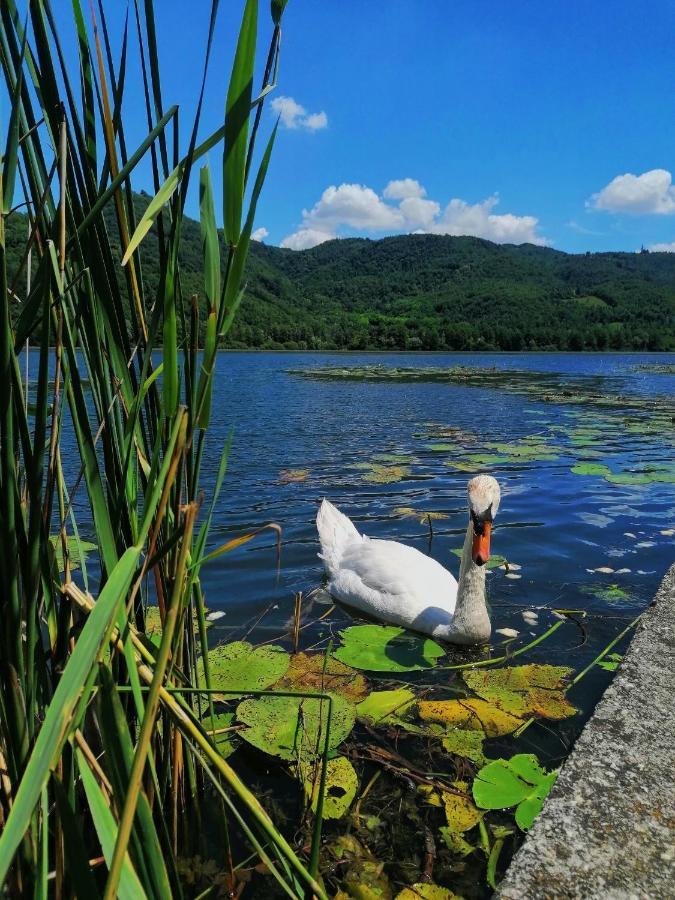 Ca' Dei Berici - Residence Ad Arcugnano Grancare Kültér fotó