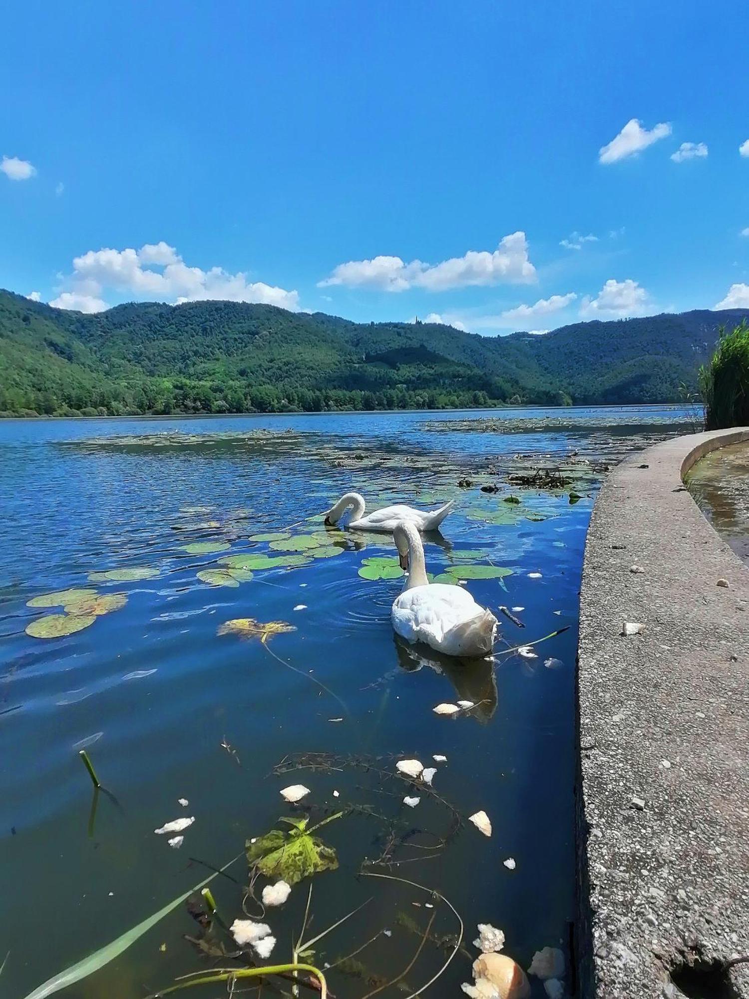 Ca' Dei Berici - Residence Ad Arcugnano Grancare Szoba fotó